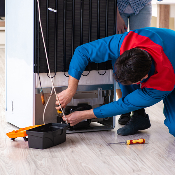 is it cost-effective to repair a refrigerator or replace it entirely in Meadow